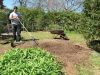 Top 10 Benefits of  Free Gardening Tips
