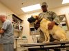 Top 10 Health benefits of Having Pets