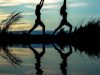 The Hidden Mystery Behind Health Tips