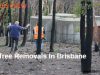 More Tree Removals In Brisbane The Key To Prevent Fire Hazards