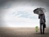 Do you Need Professional Indemnity Insurance in India?