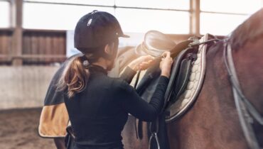 Essential Benefits of Having a Comfortable Saddle Pad